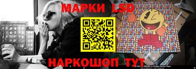 индика Пугачёв