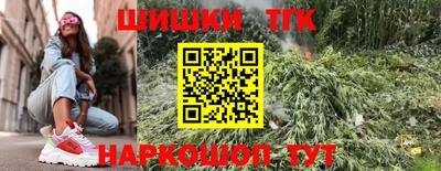 индика Пугачёв