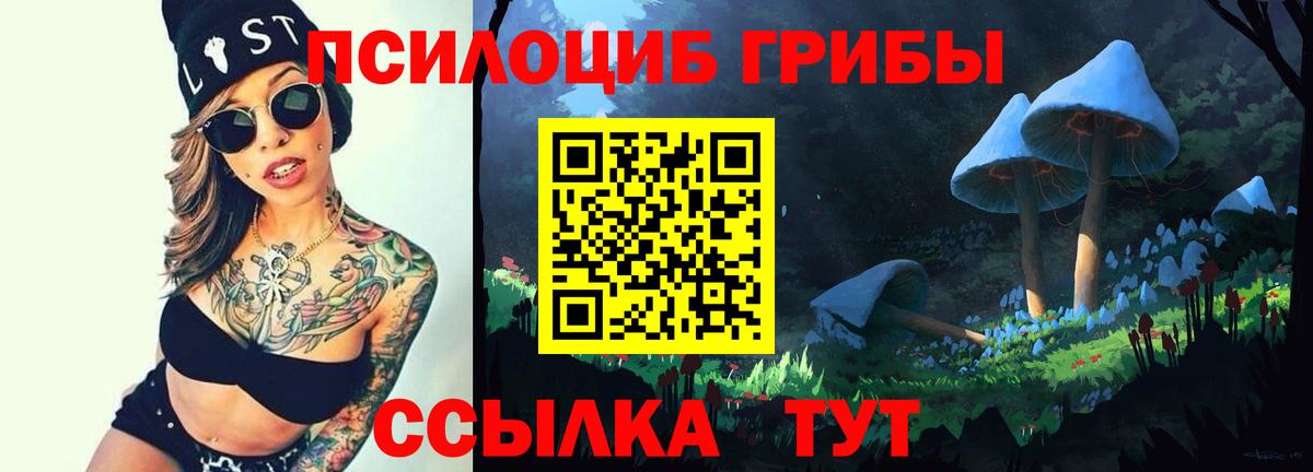 Галлюциногенные грибы Cubensis Усинск